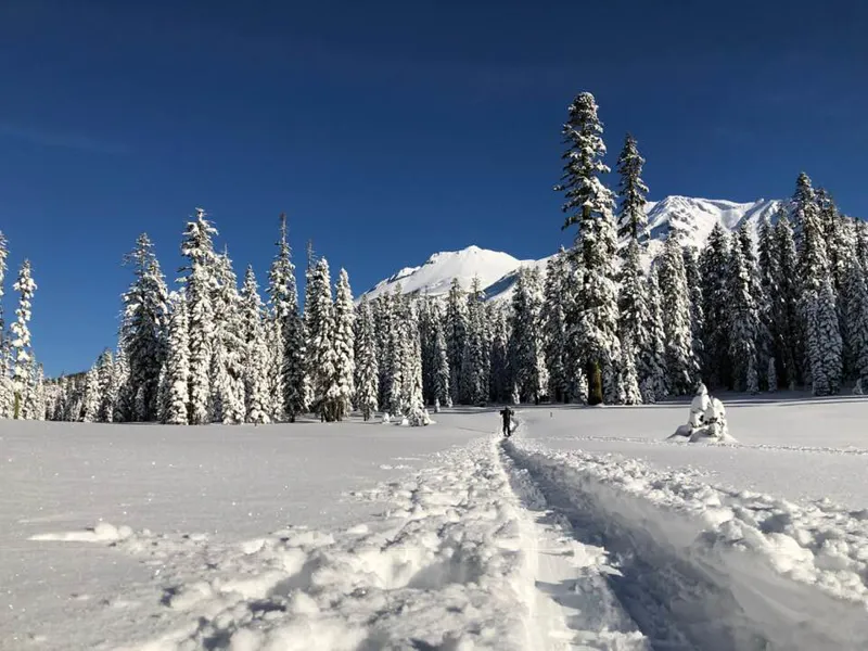 Snowshoeing