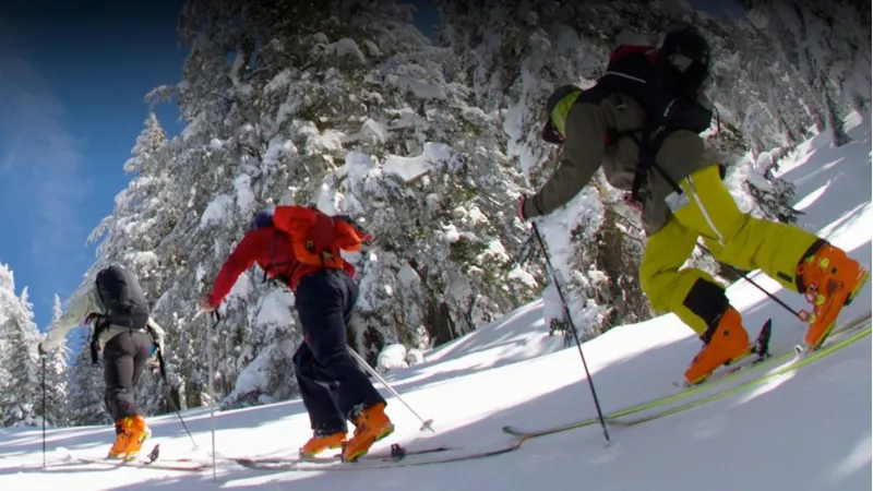 Alpine Touring & Splitboard Rental